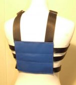 Walking Harness and Reins